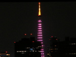 ピンク色にライトアップされた東京タワー